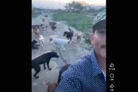 Daniel Martínez, responsable del refugio pidió apoyo al Gobierno Municipal para atender las necesidades de los perros rescatados.