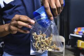 Oakland, segunda ciudad de Estados Unidos en despenalizar los hongos alucinógenos