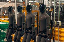 Un banco de robots humanoides sometidos a pruebas de campo, en la planta de fabricación de BMW en Spartanburg, Carolina del Sur, el 30 de junio de 2026.