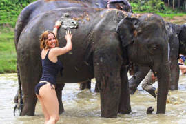 Andrea Legarreta posa con sexy bikini junto a un gran elefante durante sus vacaciones