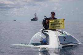 Una activista protesta en las aguas del mar de Veracruz en México. La organización medioambiental urgió proteger ecosistemas arrecifes que descubrió a más de 50 metros de profundidad en el estado de Veracruz.
