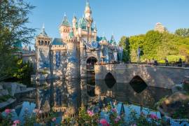 Disneylandia clausura torres donde halló bacteria legionela