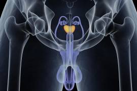 Especialistas recomiendan chequeos periódicos para detectar a tiempo la enfermedad.