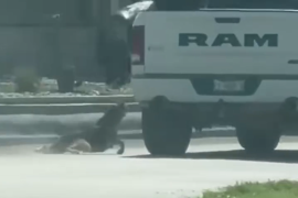 Caso de perro arrastrado por una camioneta llega al Ministerio Público en Acuña, Coahuila.