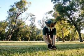 La organización alertó sobre el riesgo de estigmatización y violencia digital, con afectaciones potenciales al derecho a la no discriminación.