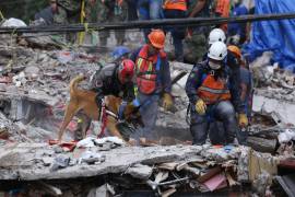 El país ha avanzado en la cultura de la prevención y en el perfeccionamiento del Sistema de Alerta Sísmica Mexicano, que ofrece un margen de seguridad antes de los temblores.