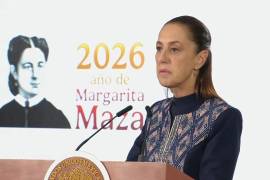 Se señaló que la Plataforma Nacional de Establecimientos Mercantiles ya opera en 105 municipios, permitiendo abrir pequeños negocios en línea mediante avisos de funcionamiento para actividades de bajo impacto.