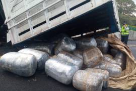 El cargamento fue recuperado por agentes de seguridad de la Ciudad de México