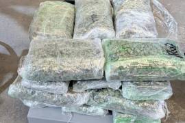 Elementos federales aseguraron más de 26 kilos de droga durante operativo en Saltillo.