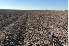 Especialistas de la UNAM y el SMN advierten que la mejora será temporal, pues se prevé que el fenómeno de “El Niño” regrese con intensidad extrema entre 2026 y 2027.