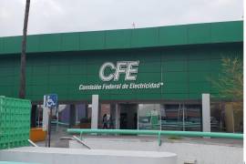La Cofece no ha publicado el nombre de la empresa que denunció a la CFE.