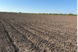 Solo 72 municipios mantienen algún grado de sequía, concentrados principalmente en el noreste del país