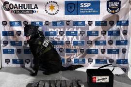 Un perro entrenado alertó sobre la droga que se encontraba en el vehículo.