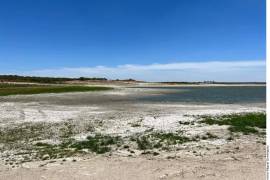 En contraste, agregaron los expertos, Estados Unidos tiene el privilegio de reducir sus entregas de agua a México en casos de escasez persistente en el Río Colorado y la parte alta del Río Bravo.