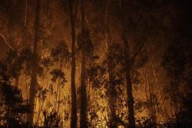 Al menos 12 personas murieron en el incendio que se propagó rápidamente por Almería.