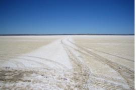 Añaden que la compleja situación financiera de Petróleos Mexicanos hace poco probable que se destinen suficientes recursos para desarrollar un sistema productivo viable.