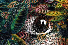 Pilar Quintana explora la naturaleza animal de los humanos en la novela ‘Noche negra’