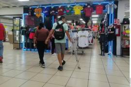 En los dos últimos años, las denuncias por piratería se han mantenido en niveles altos.