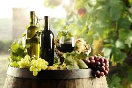 La vendimia es el periodo en el que las vinícola cosechan y seleccionan la uva para la producción de vino.