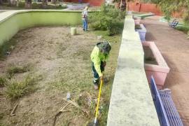 Cuadrillas de trabajadores trabajan día a día en el mantenimiento de las áreas verdes de Saltillo.