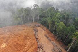Inspecciones detectaron la apertura irregular de caminos, la extracción de material pétreo y afectaciones directas a fauna silvestre que habita en la zona.