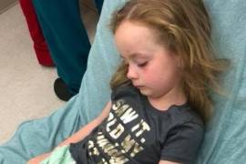 Picadura de garrapata paraliza el cuerpo de niña de 5 años