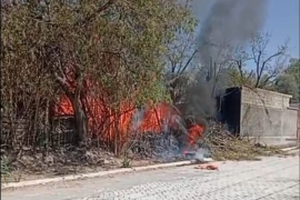 Autoridades investigan si los siniestros fueron provocados de manera intencional.