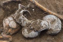 Vasos destinados a acompañar al muerto en el más allá encontradas en un yacimiento de tumbas cananeas de Tel Yehud (Israel). Se encontraron restos de opio en varias de las vasijas.
