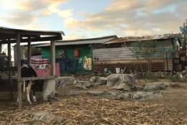 Ella es la mamá y la humilde casa de Yalitza Aparicio en Oaxaca (Video)