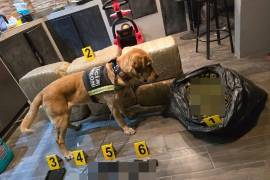 Autoridades destacan el impacto del aseguramiento contra el narcomenudeo.