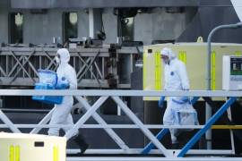 Varias personas, con trajes de protección, portan objetos no identificados al desembarcar del crucero MV Hondius tras su llegada al puerto de Rotterdam, Países Bajos.