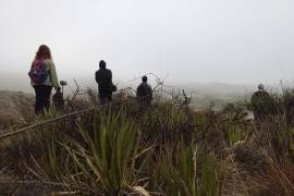 En el corto ‘Guayule, ladrillo y cal’ cuentan la historia de la icónica colonia de Saltillo