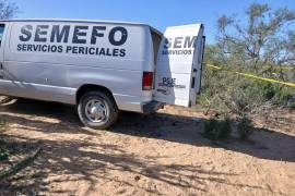 El colectivo Búsqueda x La Paz de Baja California Sur reportó el hallazgo de cinco fosas clandestinas y y restos óseos en el municipio de Comondú.