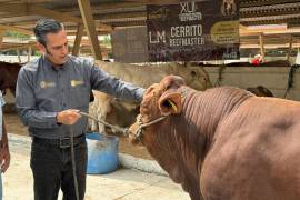 En el evento, productores eligieron un semental entre 300 ejemplares disponibles de las mejores razas del mundo