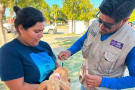 La brigada integral para mascotas reunió a decenas de familias en la plazita Las Gemelas de la colonia Infonavit, en Sabinas.