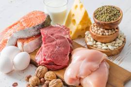El consumo de proteínas es vital para la salud; es esenciales para el correcto funcionamiento del cuerpo humano.