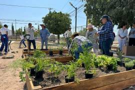 La temporada de poda libre busca mejorar la salud del arbolado urbano y promover el mantenimiento responsable.
