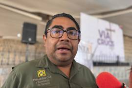 Jorge Luis Juárez Llanas, titular de Protección Civil de Torreón, afirma que también será verificada la seguridad con la que trabajan los juegos mecánicos del Bosque Urbano y el Bosque Venustiano Carranza.