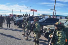 Los aseguramientos se suman al decomiso de más de media tonelada de marihuana realizado días antes en distintas regiones de Coahuila.