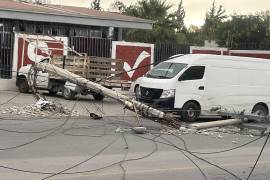 Los cables de alta tensión quedaron tendidos sobre el pavimento.
