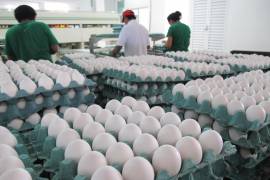 Por los casos de gripe aviar en Estados Unidos, el precio del huevo se disparó, obligando a los “vecinos del norte” a comprarlo en México.
