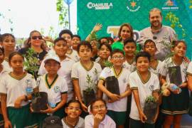Las nuevas plantaciones priorizarán espacios con mayor impacto ambiental y social.