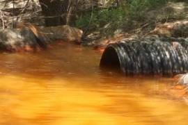 Ciudadanos difundieron fotografías y videos para denunciar las condiciones del río entre Nueva Rosita y Sabinas.