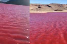 Un extraño hecho ocurrió en Egipto causando conmoción en redes sociales. Luego de que el río Nilo se tiñera de rojo.