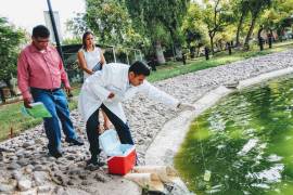 Denuncian que agua de Bosque Urbano de Torreón representa riesgo