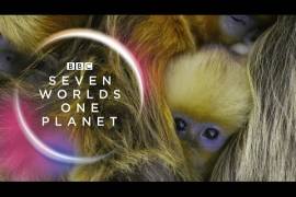 Sia colabora con Hans Zimmer en la producción de BBC, Seven Worlds One Planet