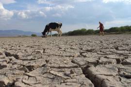 Buscan declarar en Nuevo León emergencia por sequía