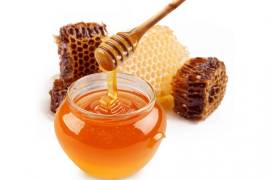 Aumenta 34 por ciento la producción de miel mexicana en primer cuatrimestre del año