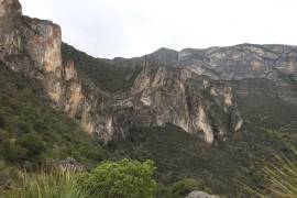 La Sierra de Zapalinamé cumplirá 30 años como reserva estatal, aniversario que será conmemorado con una mesa de diálogo sobre su conservación y manejo.