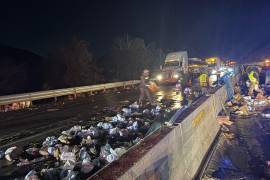 Elementos de la Guardia Nacional cerraron la circulación en el kilómetro 233 para permitir las maniobras de retiro y limpieza.